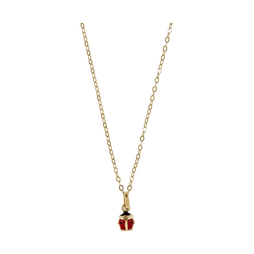 FAVS Kette