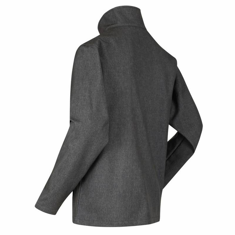 Regatta Cera V Softshelljacke Herren