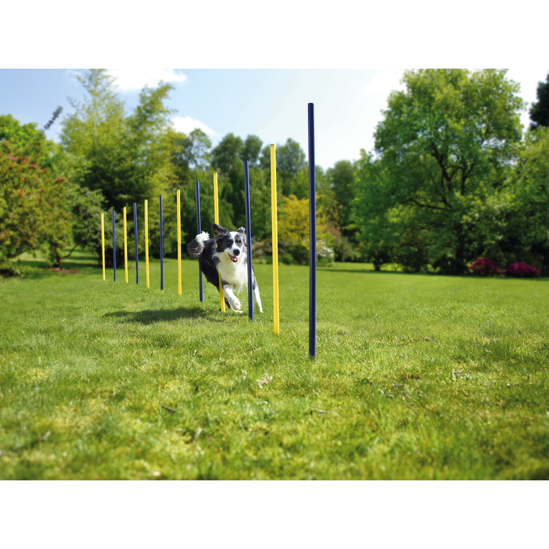 AniOne Agility & Training AniOne Agility Slalomstangen