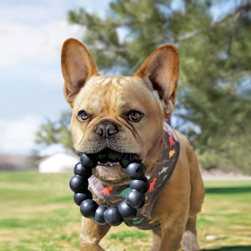 KONG Extreme Ring zu TOP-Preisen