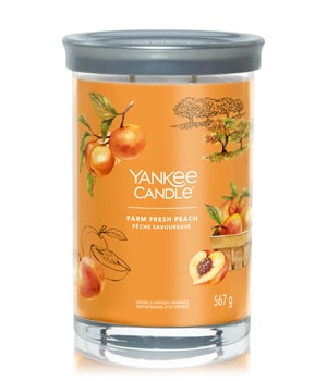 Yankee Candle Farm Fresh Peach Signature Large Tumbler Duftkerze-567 g