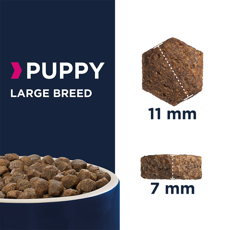 EUKANUBA Hundetrockenfutter EUKANUBA Puppy Large Breed 15 kg