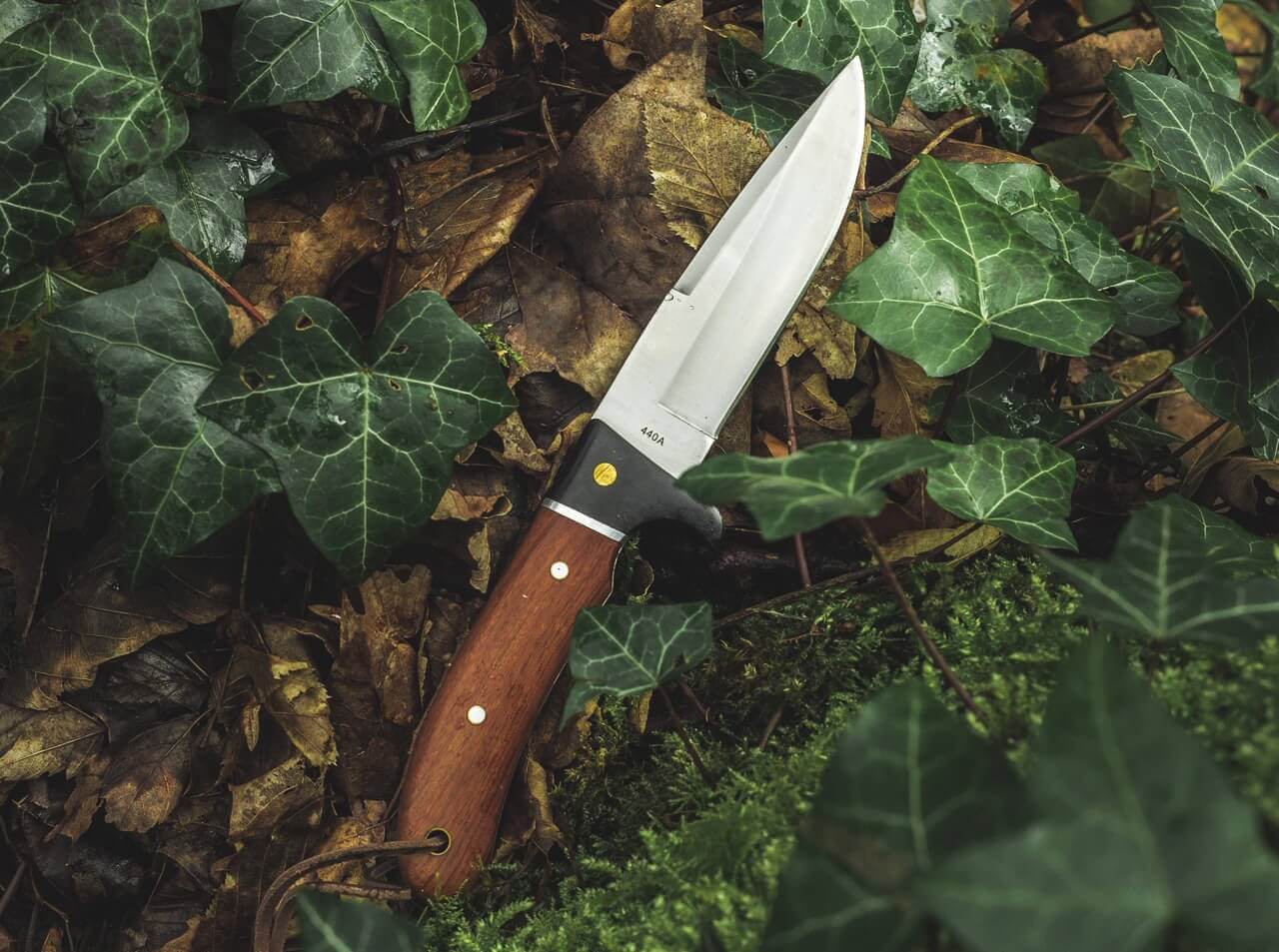 Elk Hunter Special