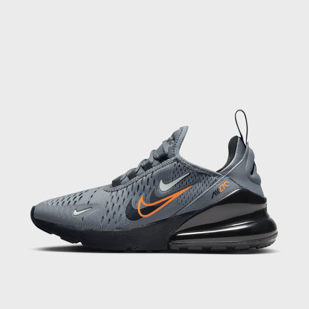 Nike Air Max 270 FN7786-001 / grau