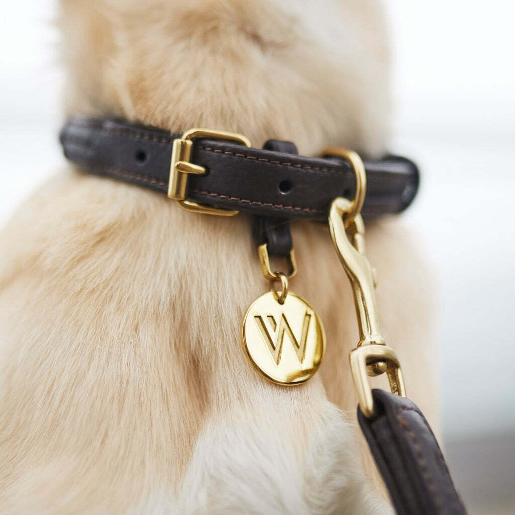 William Walker Hundehalsbänder William Walker Hundehalsband Twisted Earth M