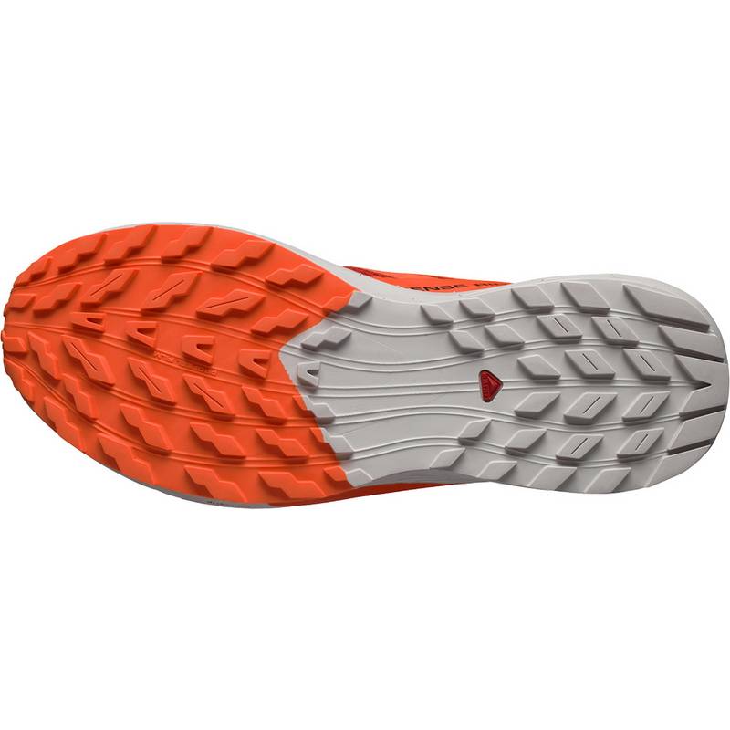 Salomon SENSE RIDE 5 Laufschuhe Herren