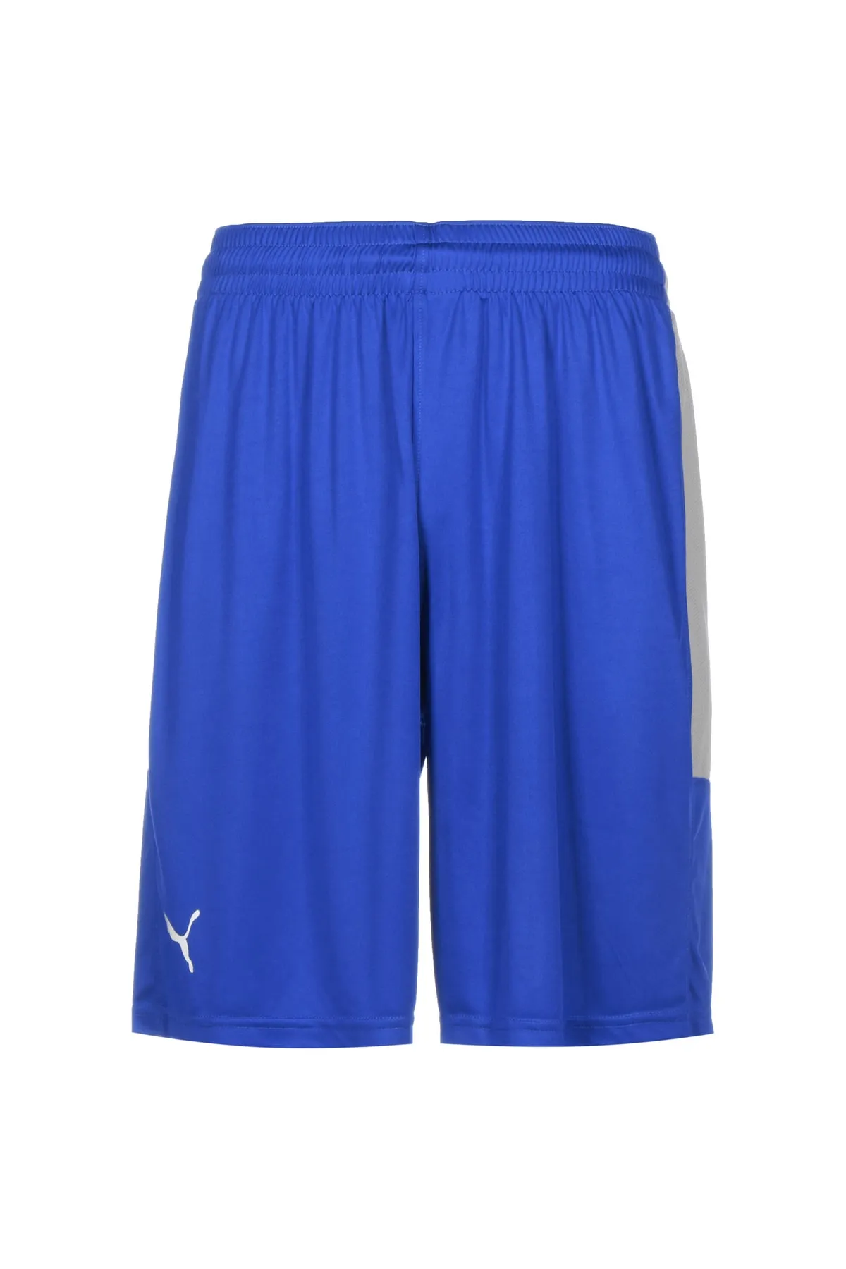 Puma  Shorts - Blau - Mittlerer Bund