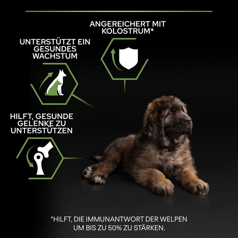PURINA PRO PLAN Large Robust Puppy Healthy Start