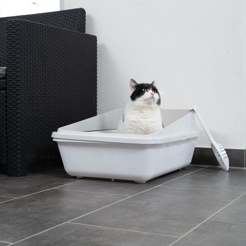 TIAKI Schalentoilette Dusty zu TOP-Preisen