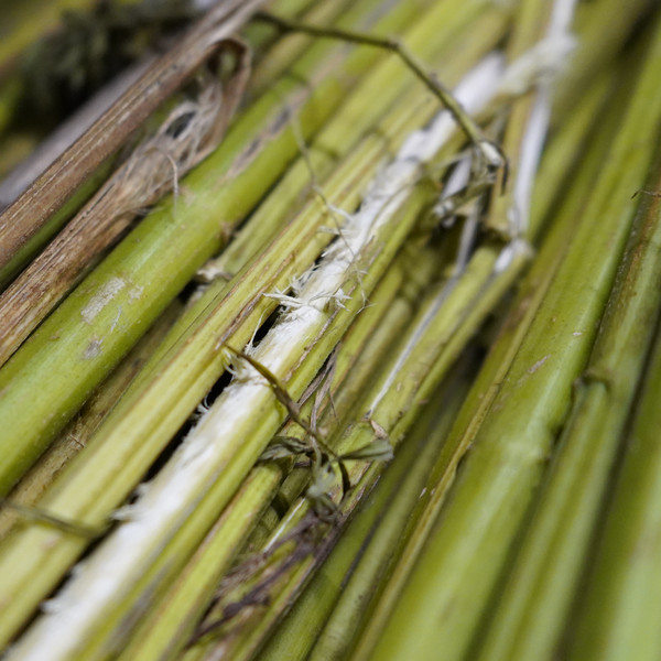 HEMP ONE VARIO - Trekkingstöcke