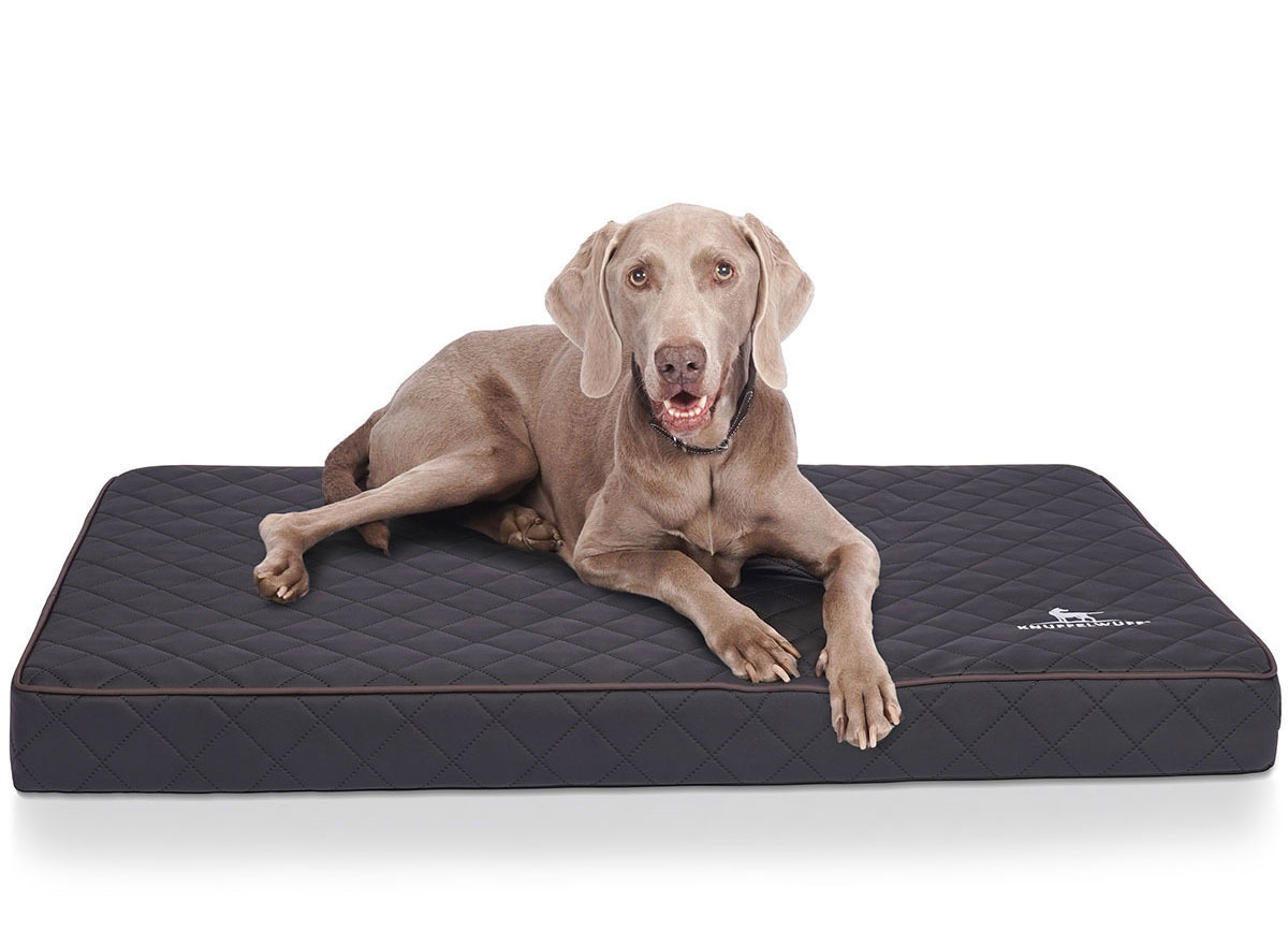 Knuffelwuff Hundematten Knuffelwuff Orthopädische Hundematte Juna aus laser-gestepptem Kunstleder schwarz XXL