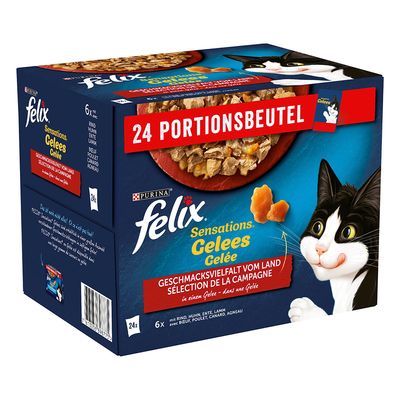 Felix 