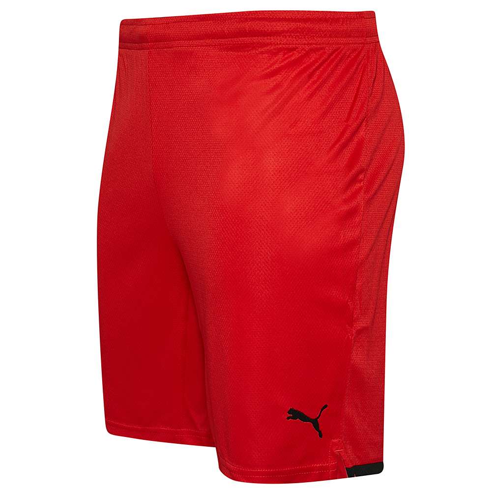 FC Girona PUMA Herren Heim Shorts 768840-04