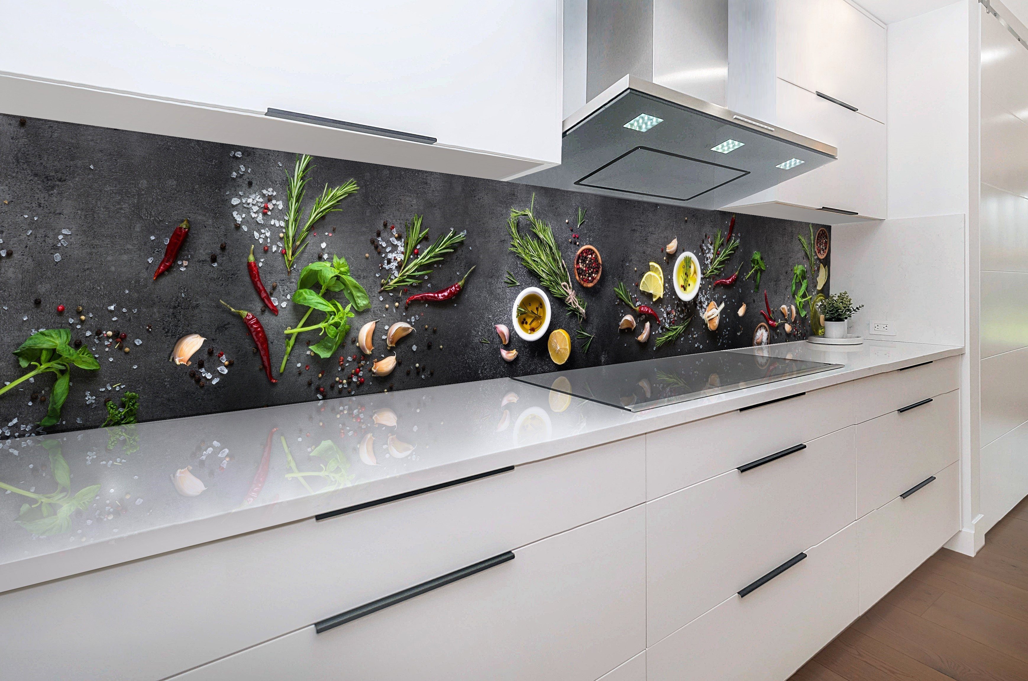 Rodnik Küchenrückwand Gewürze, ABS-Kunststoff Platte Monolith in DELUXE Qualität mit Direktdruck