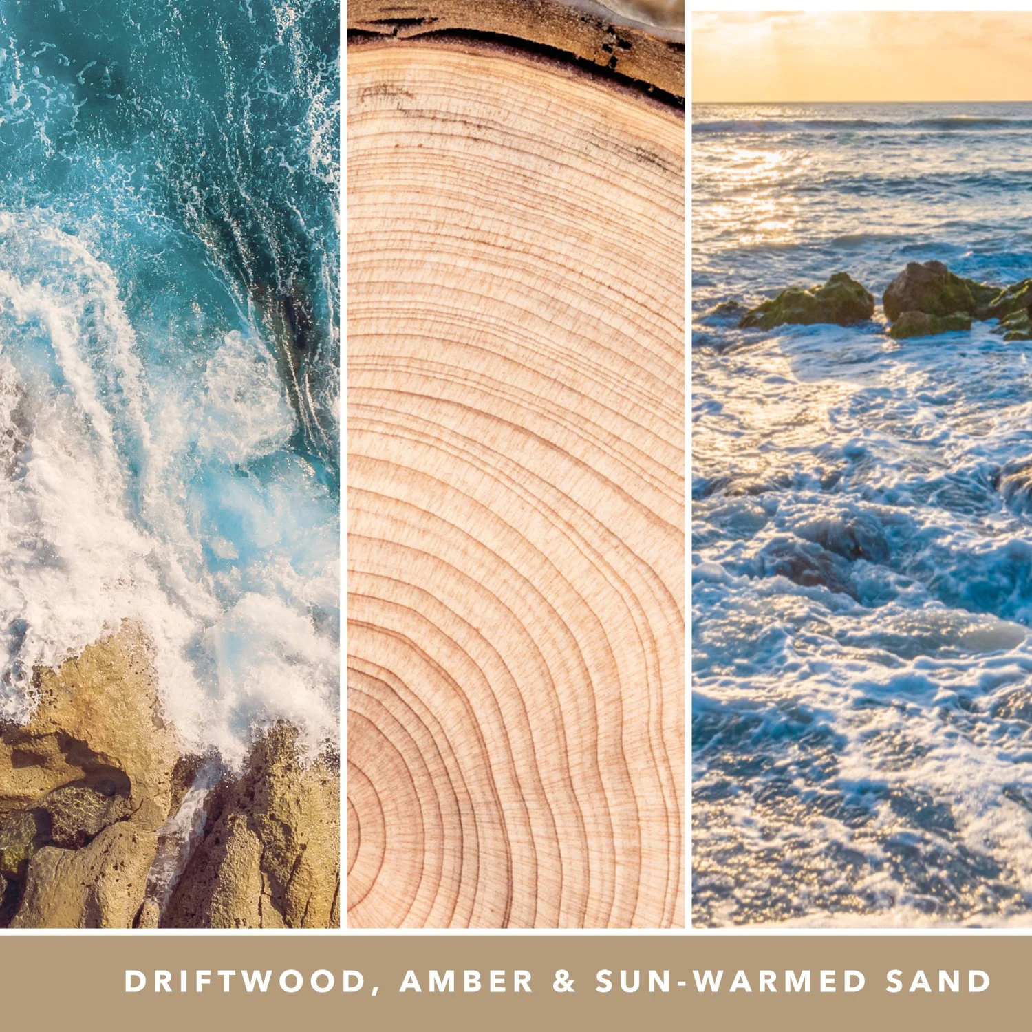 Vela Yankee de 5 mechas, color ámbar y sándalo.