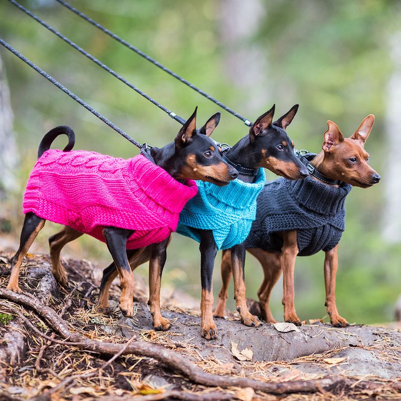 Rukka Hundepullover Wooly, himbeer zu TOP-Preisen