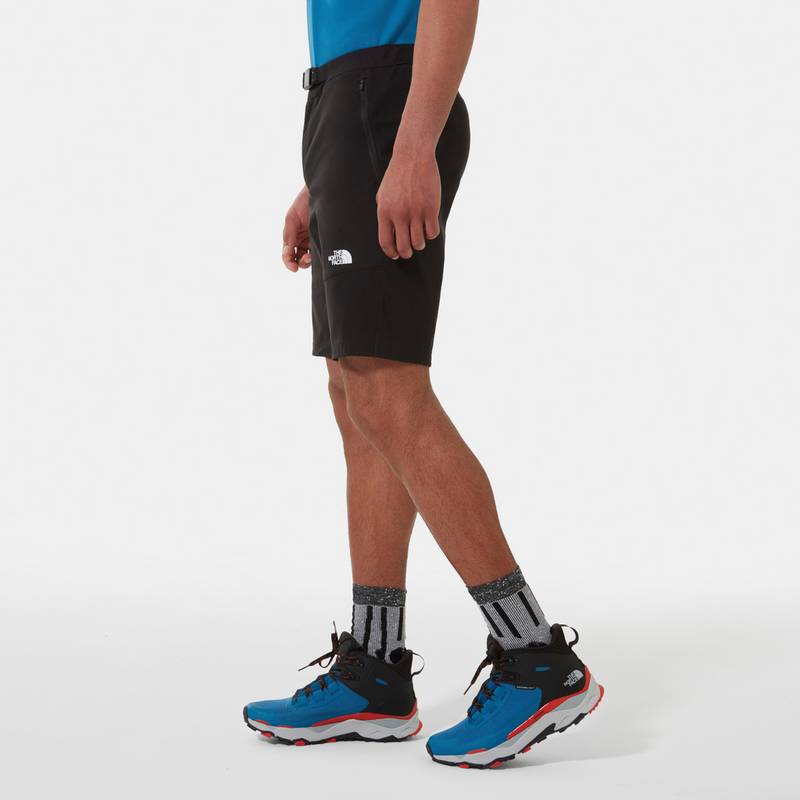 The North Face LIGHTNING Funktionsshorts Herren