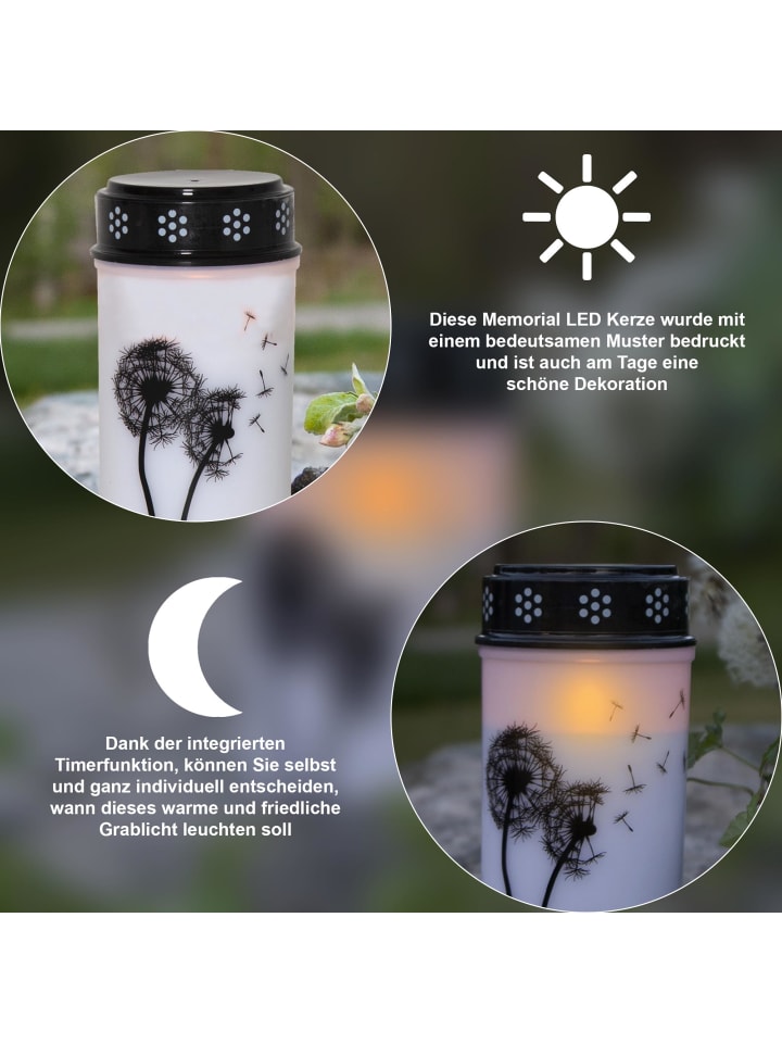 STAR Trading LED Grabkerze 'Dandelion', Timer, 12cm günstig kaufen onesize