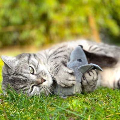 Aumüller Katzenspielzeug Baldi-Maus
