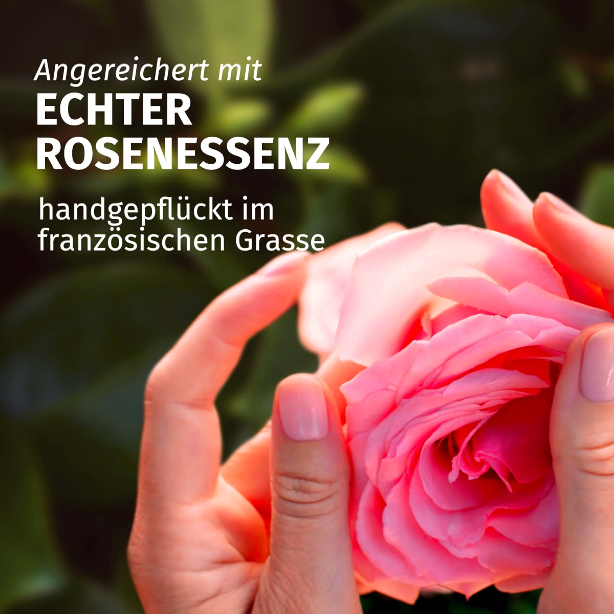 Haarmaske Blütensanft Rosenduft, 300 ml