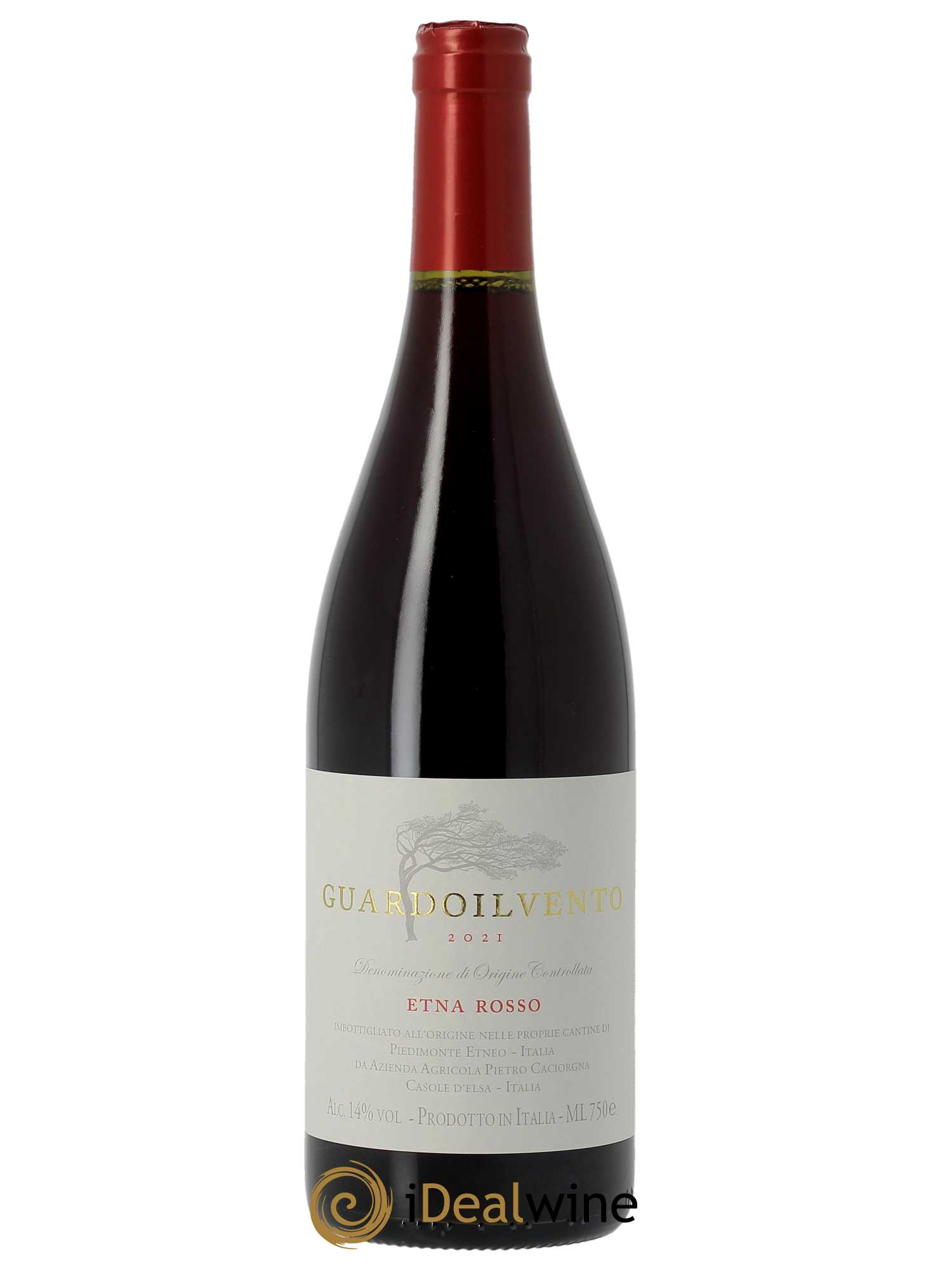 Etna Rosso DOC Azienda Agricola Pietro Caciorgna Guardoilvento  2021 - Lot de 1 Bouteille