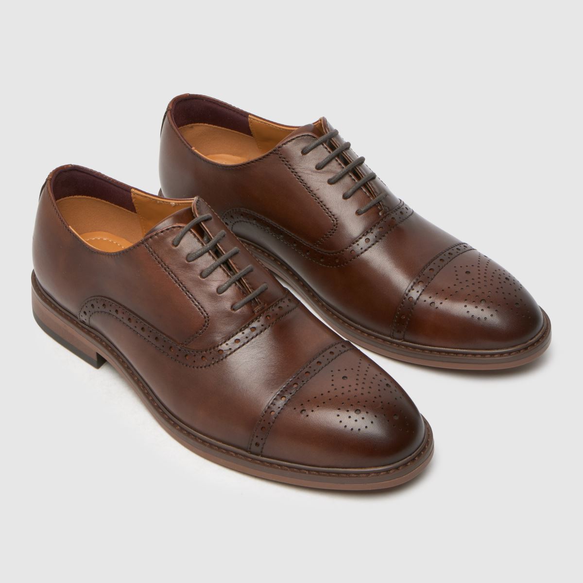 čevlji Schuh Raven brogue v rjavi barvi