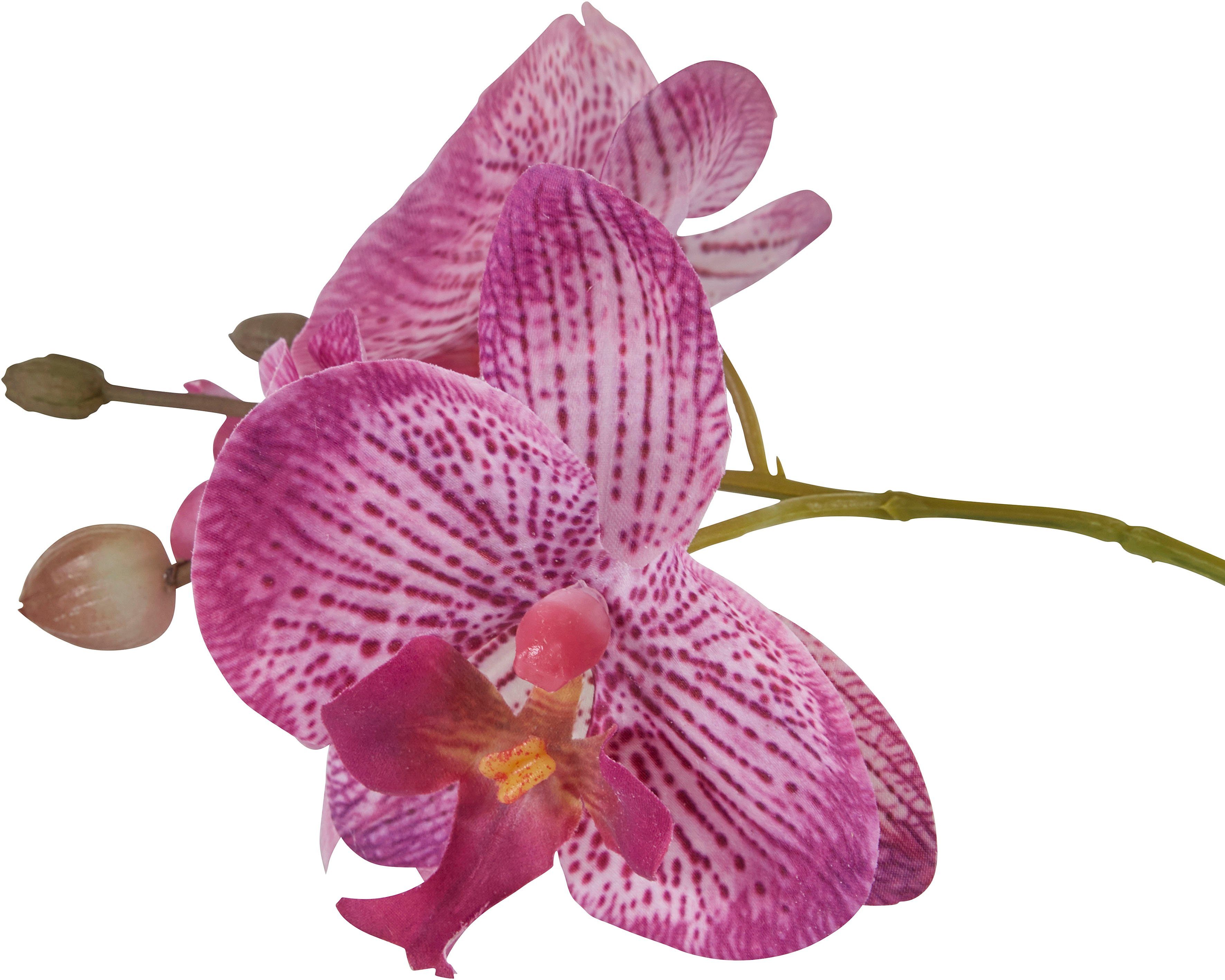 Kunstpflanze Orchidee, Home affaire, Höhe 38 cm, Kunstorchidee, im Topf