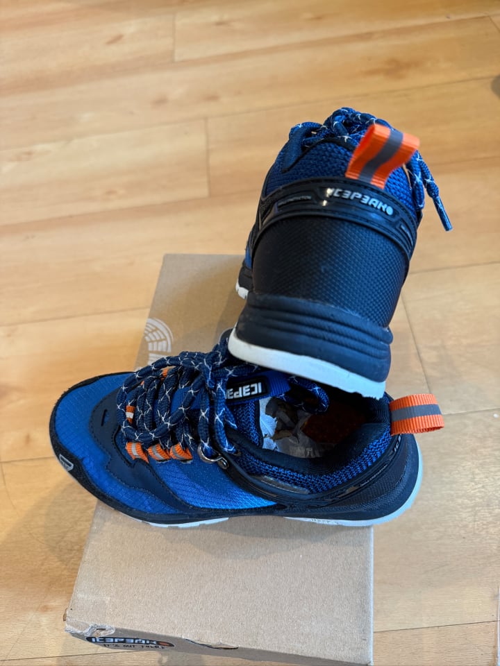 Icepeak Wanderschuhe 