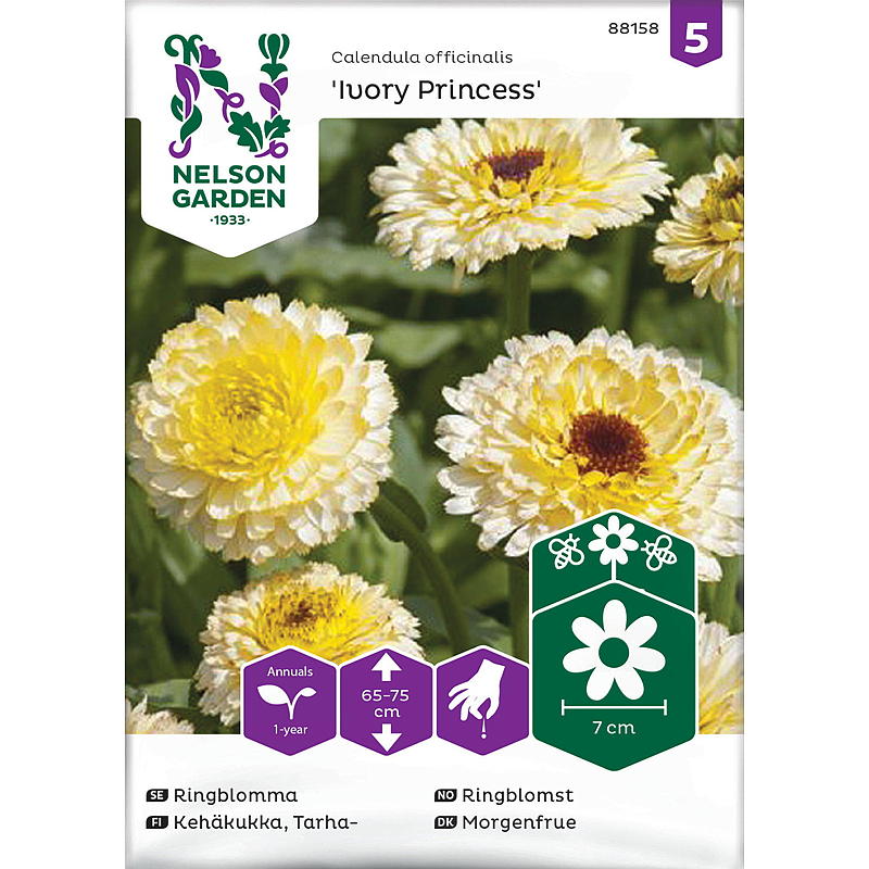 Nelson garden Frø Ringblomst Ivory Princess