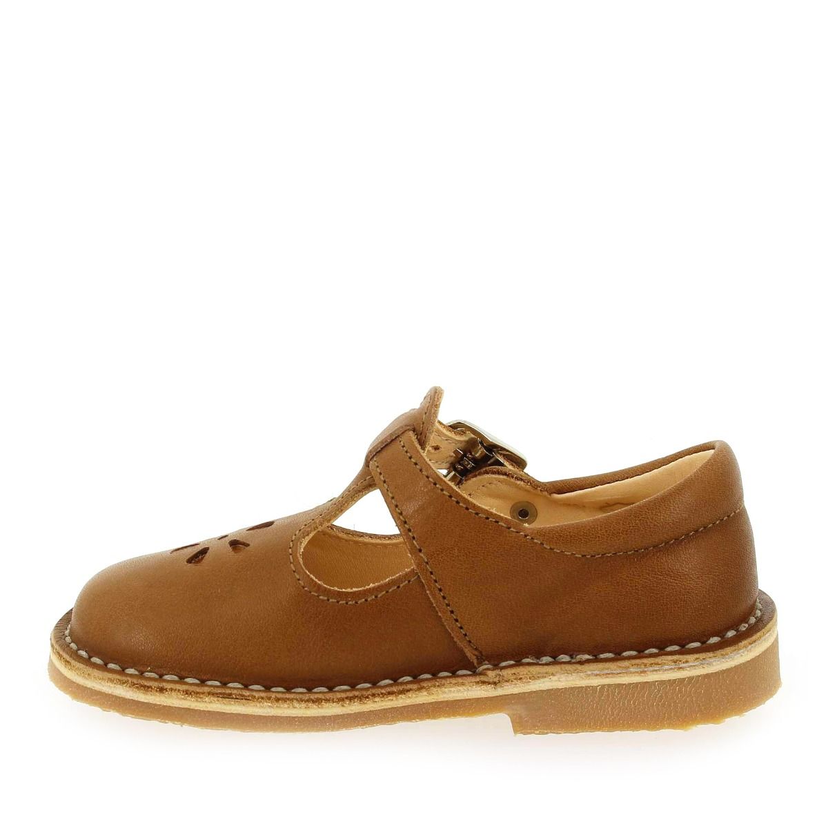 Aster  DINGO 2 - Cognac