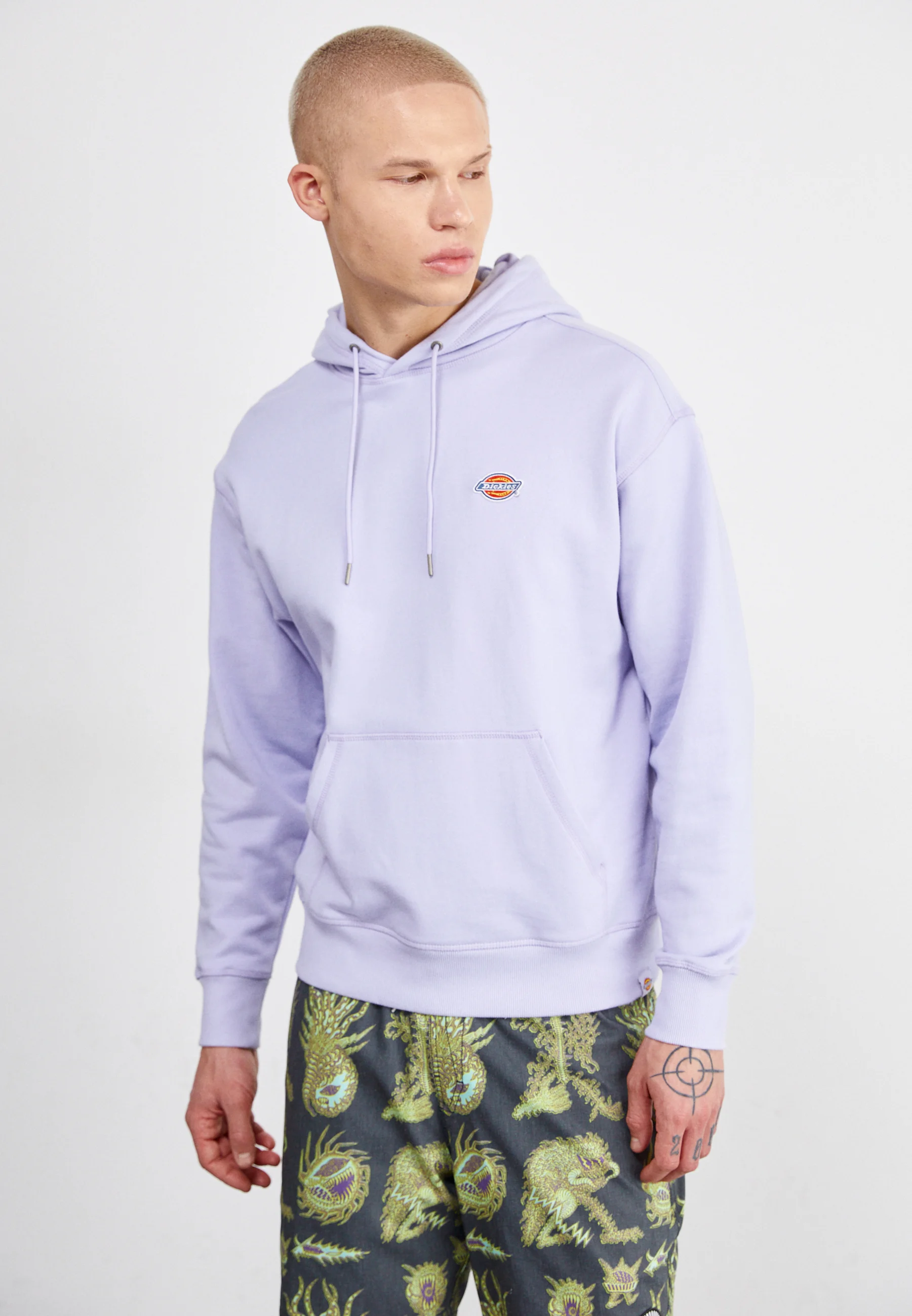 Sudadera con capucha Dickies Millersburg