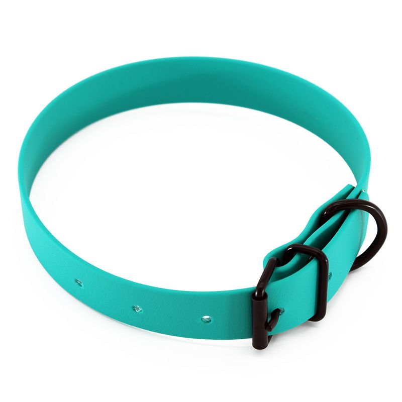 Heim Halsband BioThane, türkis zu TOP-Preisen