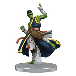 Pathfinder Battles Miniatures: Fists of the Ruby Phoenix - Contenders and Champions (pre-painted)