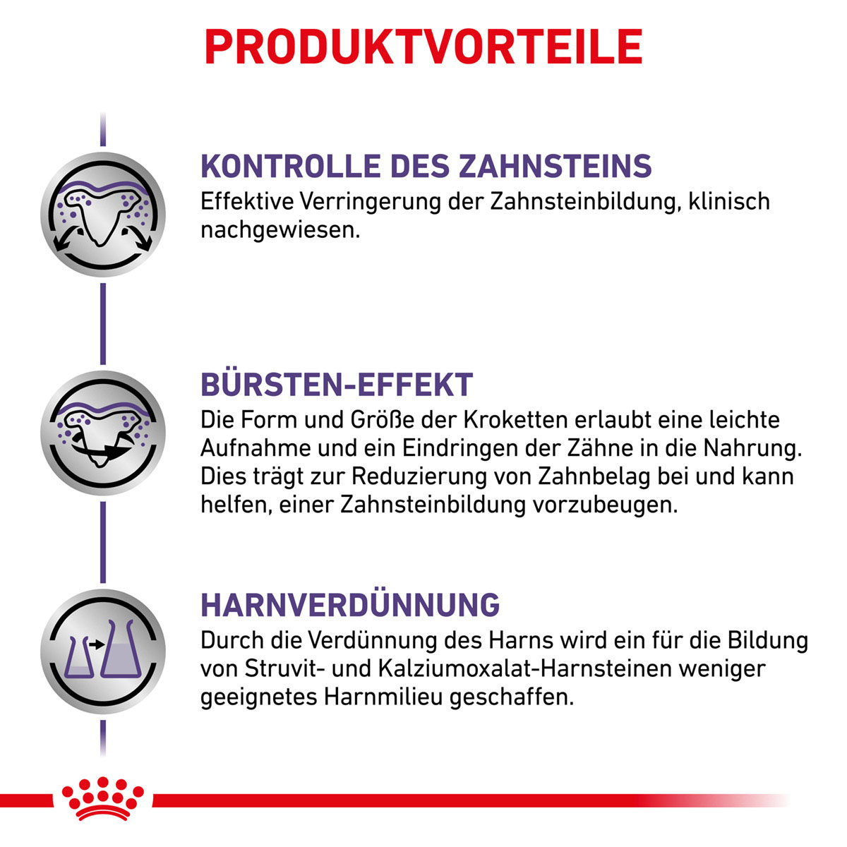 ROYAL CANIN Expert DENTAL SMALL DOGS Trockenfutter für Hunde