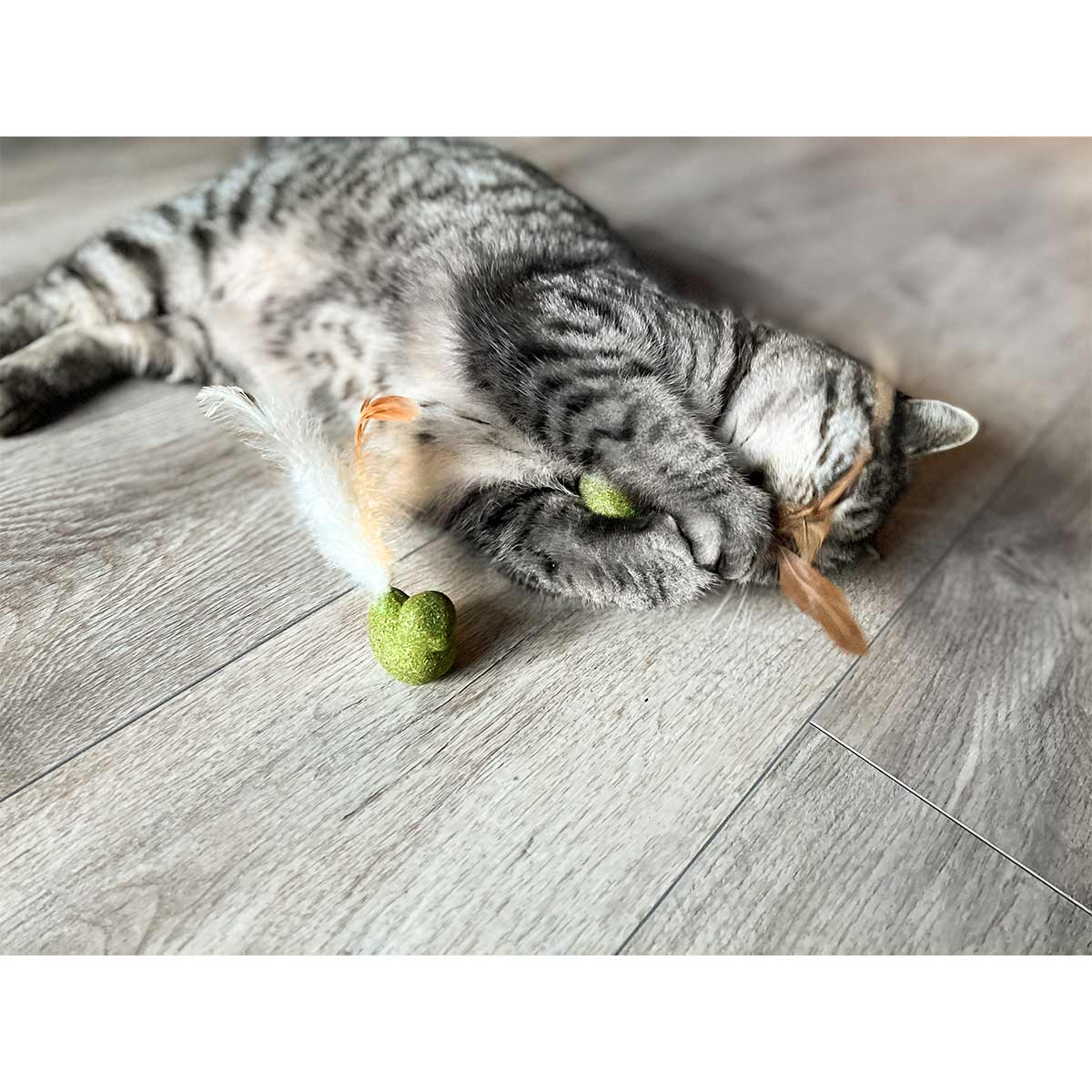 Aumüller Dentalspielzeug Vögelchen, 2er Set kaufen