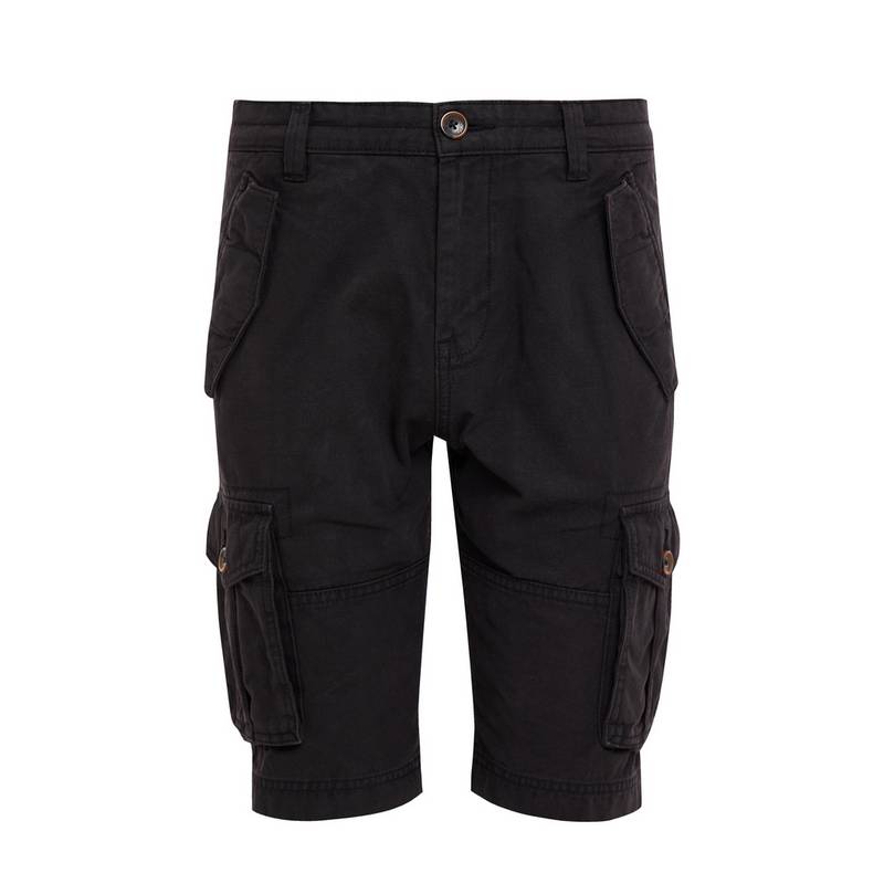 Threadbare THBLugo Cargoshorts Herren