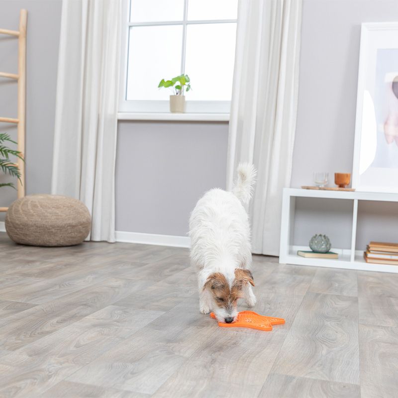 Trixie Lick'n'Snack Schleckmatte Stern zu TOP-Preisen | bitiba %
