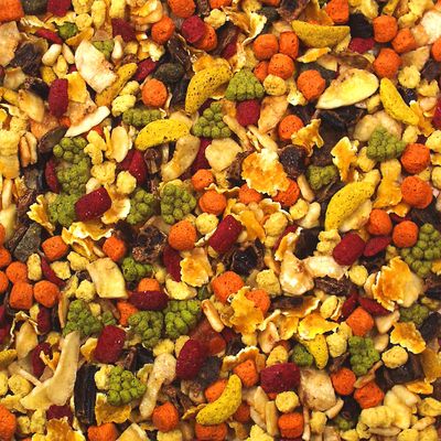 JR Farm Obst-Salat