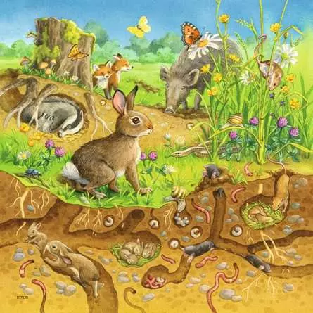 Kinderpuzzle ab 5 Jahren - Tiere in ihren Lebensräumen - 49 Teile