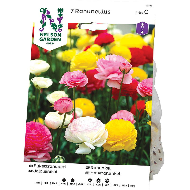 Nelson garden Ranunkel Ranunculus, blandede farger
