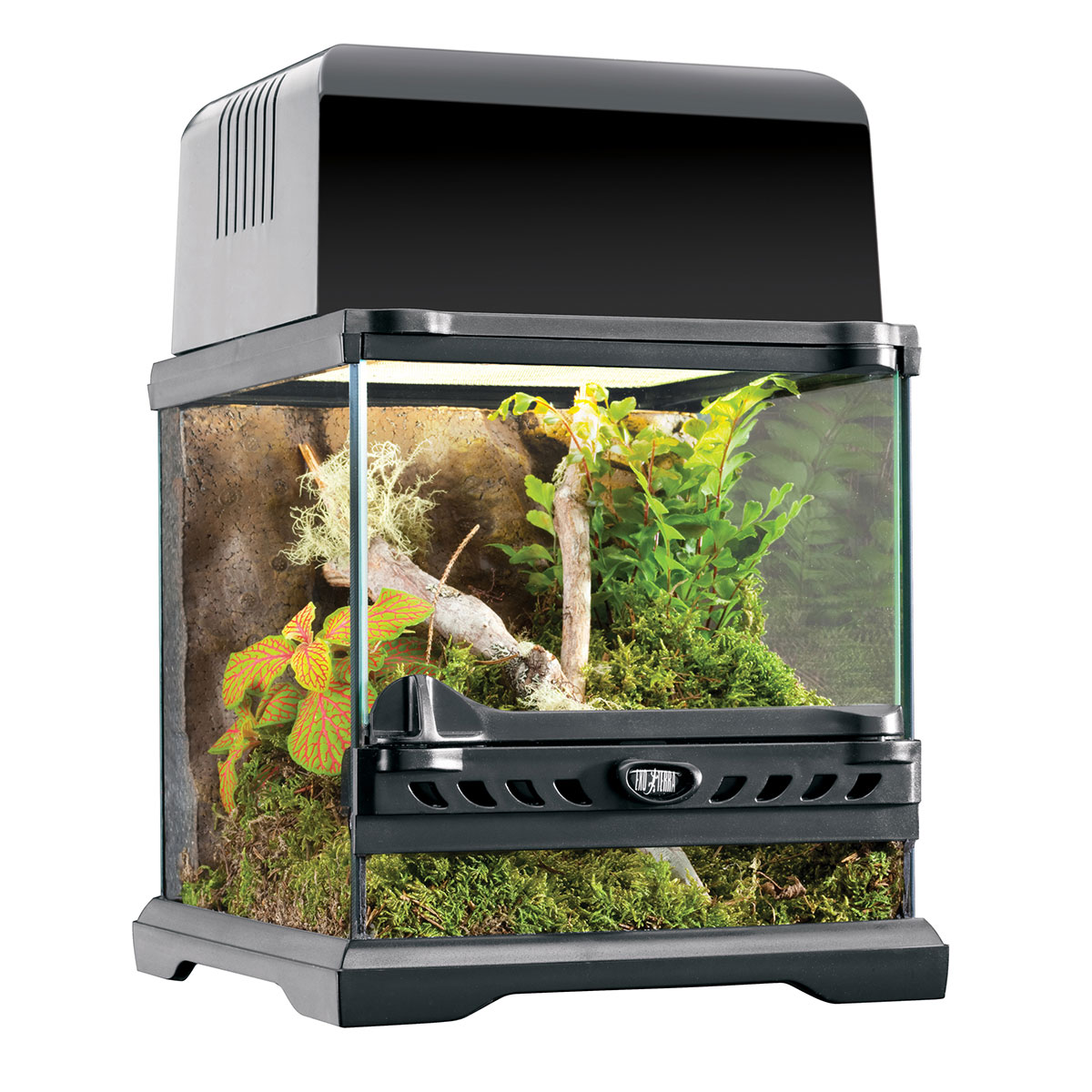 Exo Terra Natural Nano-Terrarium 