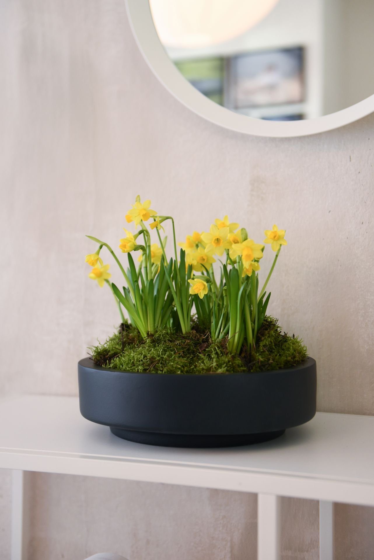 VIVANNO Pflanzschale Pflanzschale Dekoschale rund Fiberglas ESCADA LOW Anthrazit - 30x9 cm