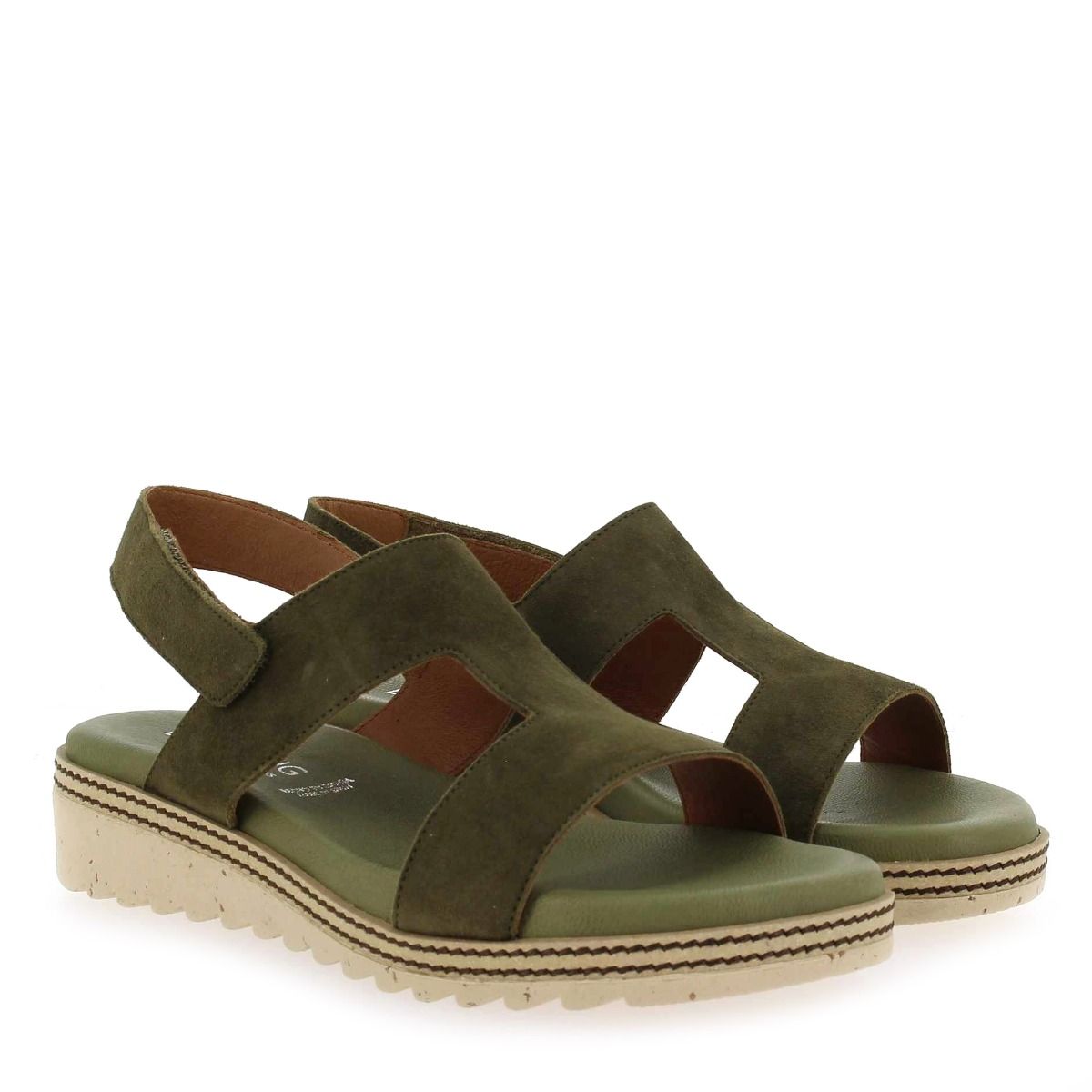 Dorking  D8775 - Kaki