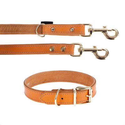 Heim Set: Lederhalsband & Vorführleine Buffalo, cognac