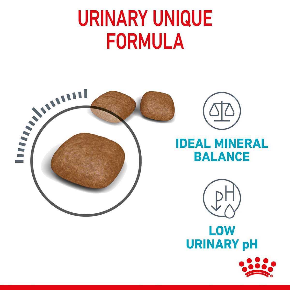 Royal Canin FCN Urinary Care günstig kaufen