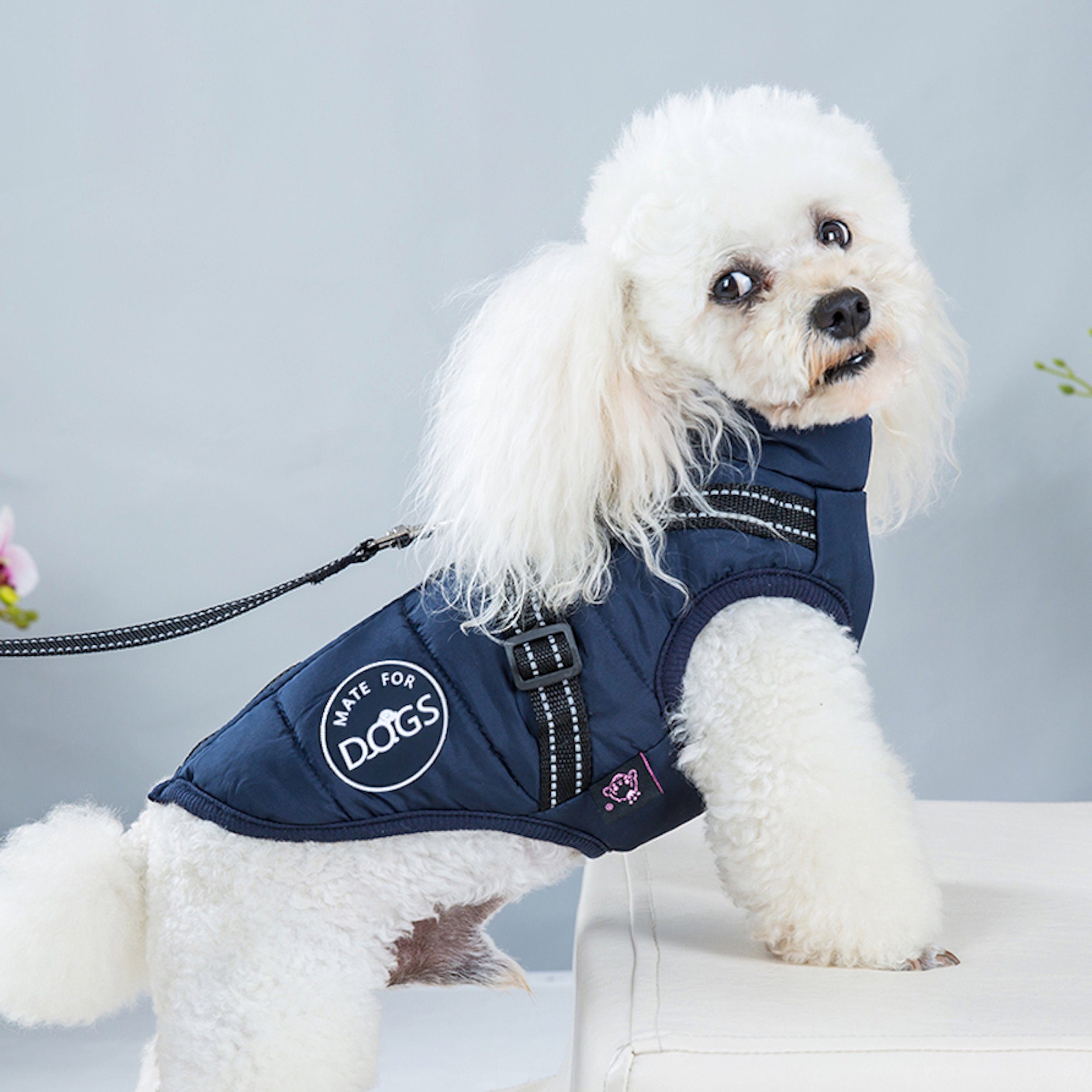 Mate for dogs Hundemantel Hundejacke Haustier Weste mit Brustgeschirr Gurt gefüttert, in verschiedenen Größen