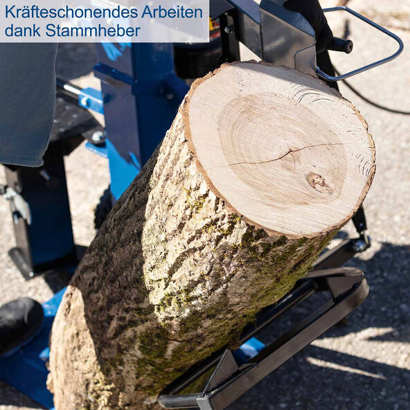 Holzspalter Compact 10