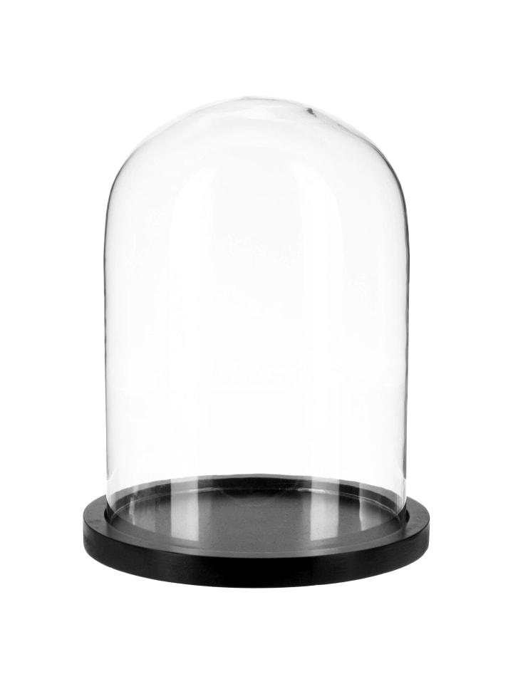 Atmosphera Créateur d'intérieur Glaskuppel in transparent günstig kaufen onesize