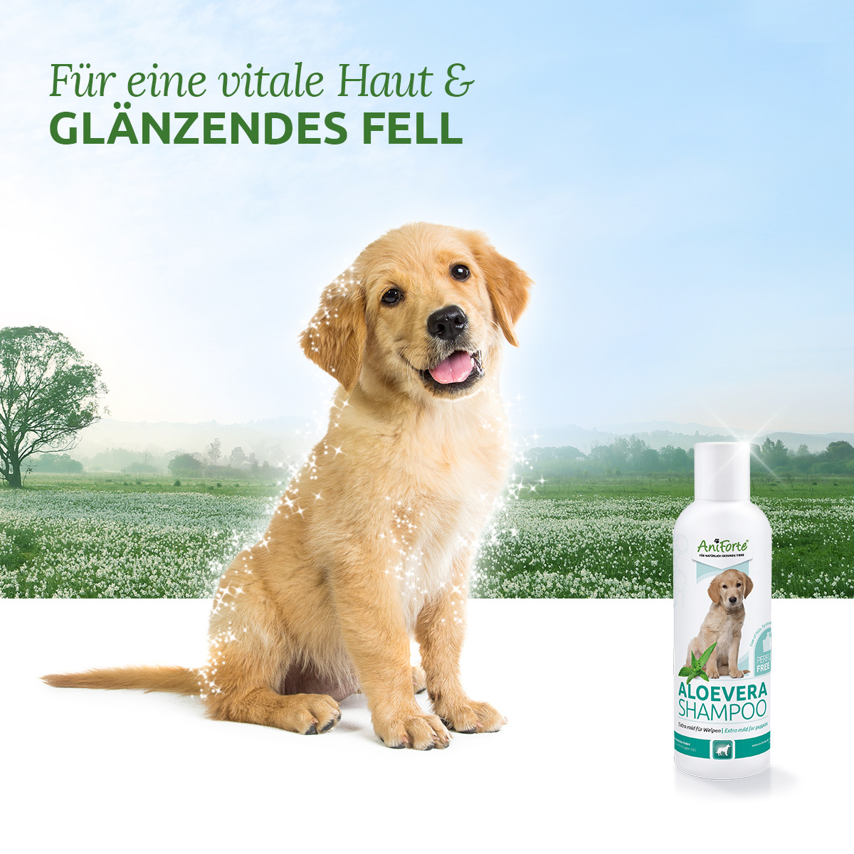 Aniforte Fellpflege Aniforte Welpen Shampoo Aloe Vera 200ml