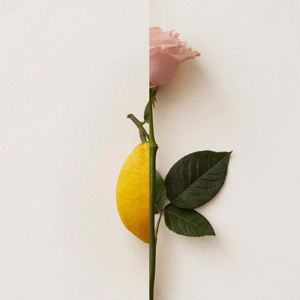 New Notes Contemporary Blend Collection Rosa Limone Extrait de Parfum